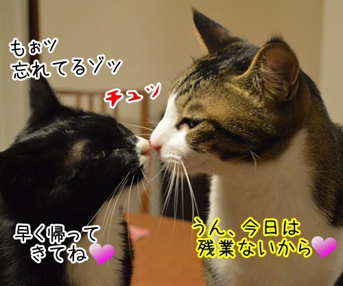 あずきの使命　猫の写真で４コマ漫画　４コマ目ッ