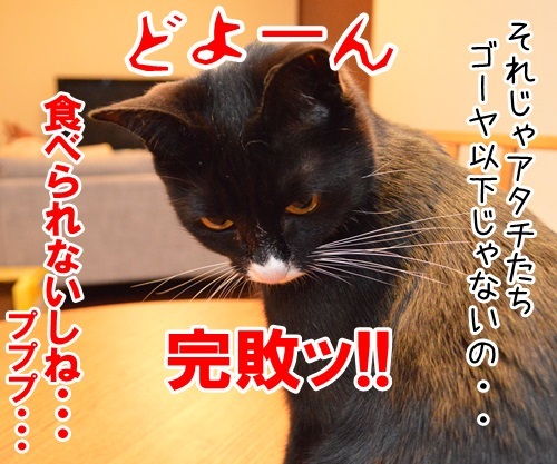 エコに取り組むッ　猫の写真で４コマ漫画　４コマ目ッ