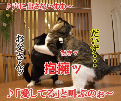 ジューンブライド　其の七（最終回）　猫の写真で４コマ漫画　４コマ目ッ