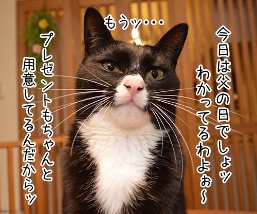 父の日　猫の写真で４コマ漫画　３コマ目ッ