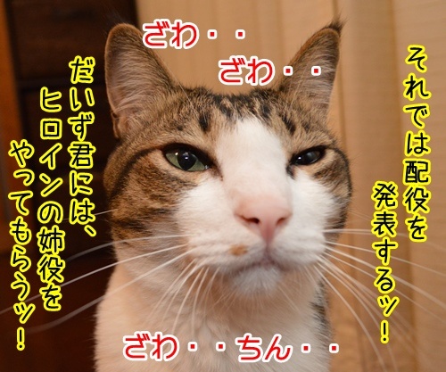 配役（キャスティング）　猫の写真で４コマ漫画　１コマ目ッ