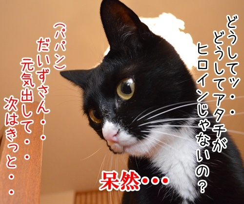 配役（キャスティング）　猫の写真で４コマ漫画　３コマ目ッ