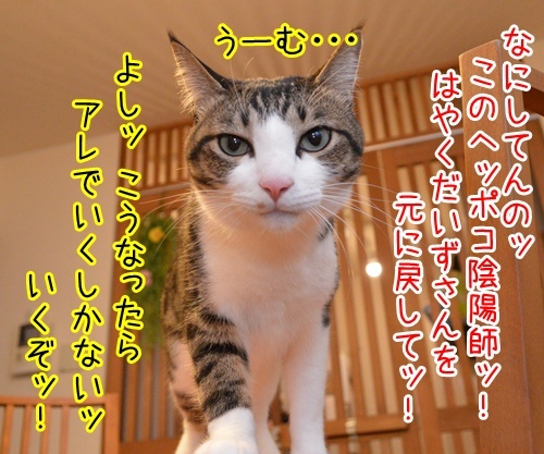 陰陽師　其の四　猫の写真で４コマ漫画　１コマ目ッ