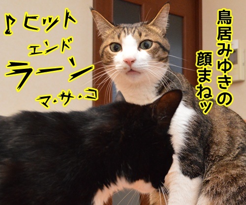 ネタ見せ　其の二　猫の写真で４コマ漫画　３コマ目ッ