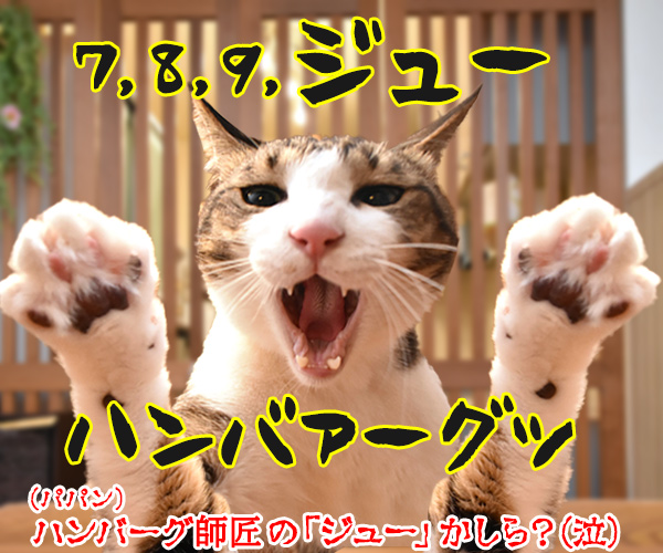 自由っていったいなんだぁーい？　猫の写真で４コマ漫画　４コマ目ッ