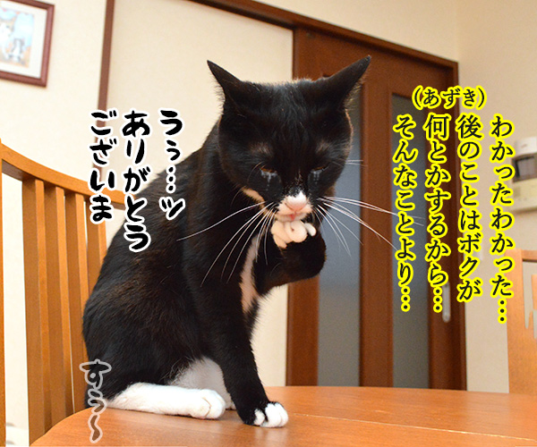 OLだいずの大失敗　猫の写真で４コマ漫画　３コマ目ッ