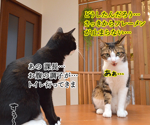 OLだいずの大失敗　猫の写真で４コマ漫画　４コマ目ッ