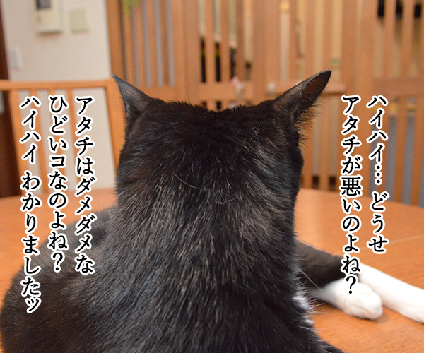 変身　猫の写真で４コマ漫画　３コマ目ッ