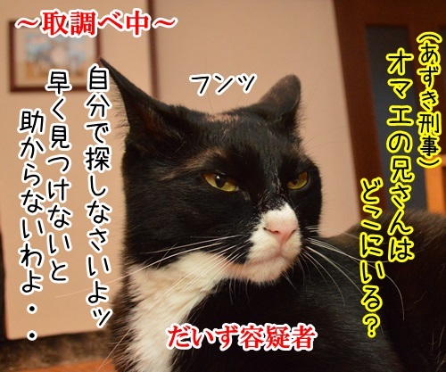 家に帰ろう　猫の写真で４コマ漫画　１コマ目ッ