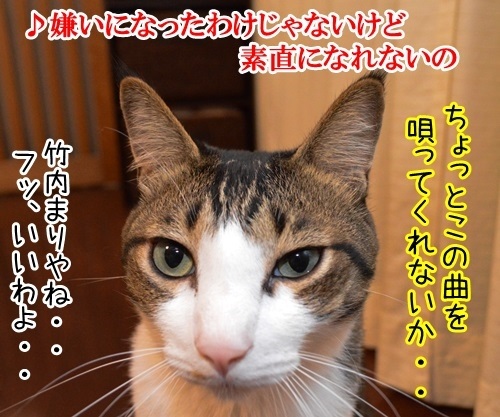 家に帰ろう　猫の写真で４コマ漫画　２コマ目ッ