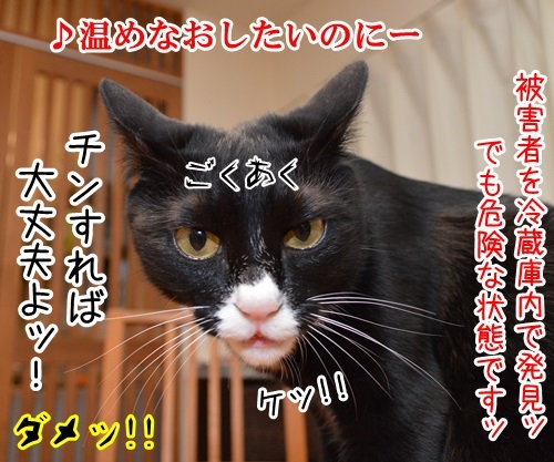 家に帰ろう　猫の写真で４コマ漫画　４コマ目ッ