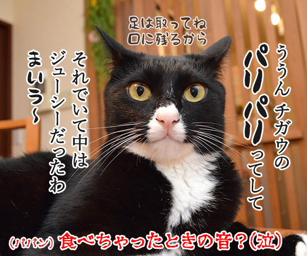 セミの声　猫の写真で４コマ漫画　４コマ目ッ