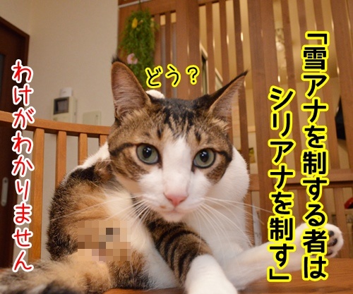 国語の授業　其の一　猫の写真で４コマ漫画　２コマ目ッ