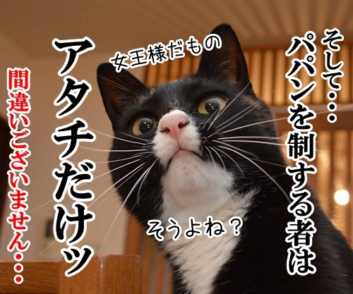 国語の授業　其の一　猫の写真で４コマ漫画　４コマ目ッ