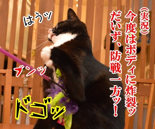 じゃらし ＶＳ だいず　猫の写真で４コマ漫画　２コマ目ッ