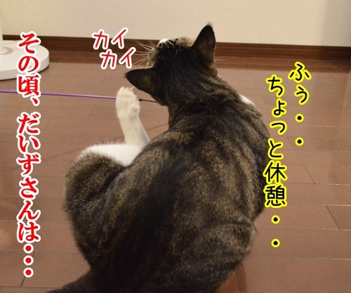 気功師　あずき　其の二　（その頃…）　猫の写真で４コマ漫画　３コマ目ッ