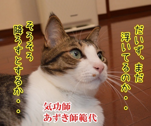 気功師　あずき　其の三　（そろそろ）　猫の写真で４コマ漫画　１コマ目ッ