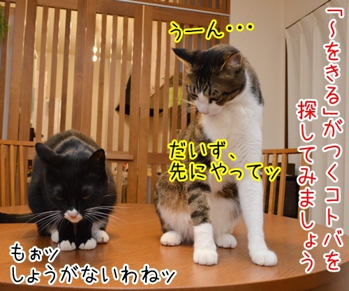 国語の授業　其の二　猫の写真で４コマ漫画　１コマ目ッ