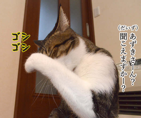 気象予報士 あずき　猫の写真で４コマ漫画　３コマ目ッ