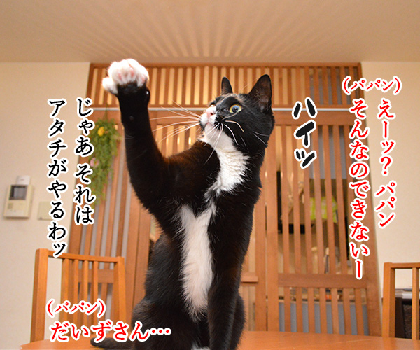 どうぞどうぞ　其の一　猫の写真で４コマ漫画　１コマ目ッ