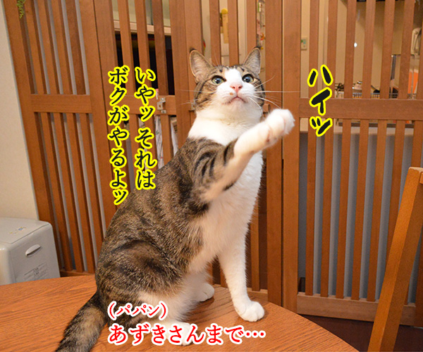 どうぞどうぞ　其の一　猫の写真で４コマ漫画　２コマ目ッ