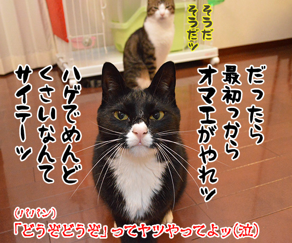 どうぞどうぞ　其の一　猫の写真で４コマ漫画　４コマ目ッ