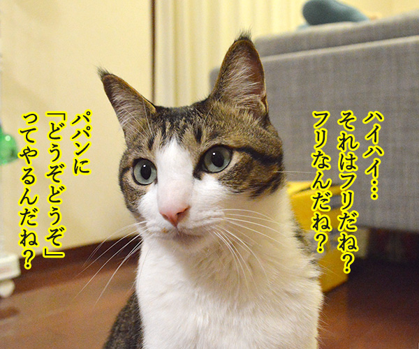 どうぞどうぞ　其の二　猫の写真で４コマ漫画　２コマ目ッ