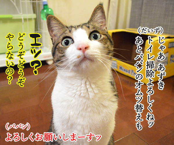 どうぞどうぞ　其の二　猫の写真で４コマ漫画　４コマ目ッ