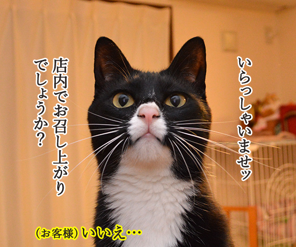 ハンバーガーショップ　猫の写真で４コマ漫画　１コマ目ッ