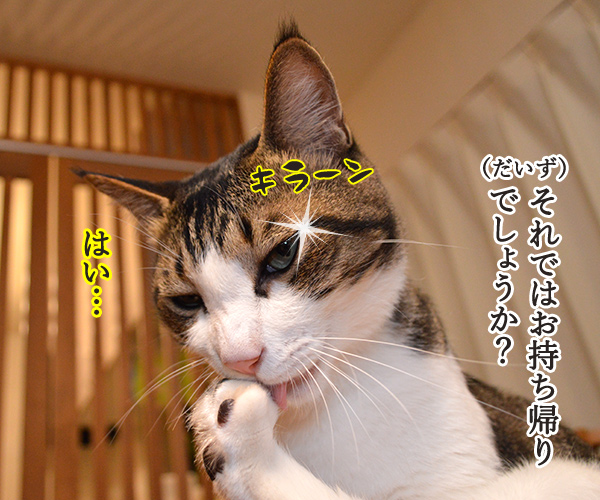 ハンバーガーショップ　猫の写真で４コマ漫画　２コマ目ッ