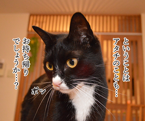 ハンバーガーショップ　猫の写真で４コマ漫画　３コマ目ッ