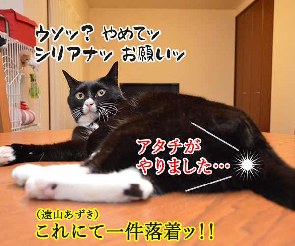 遠山のあずきさん　其の二　猫の写真で４コマ漫画　４コマ目ッ