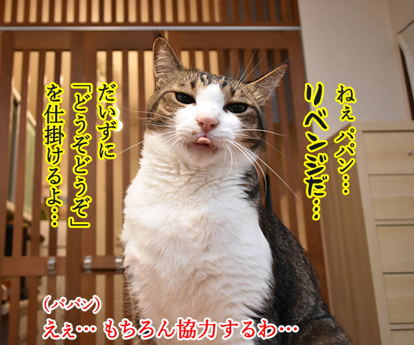 どうぞどうぞ　其の三　猫の写真で４コマ漫画　１コマ目ッ