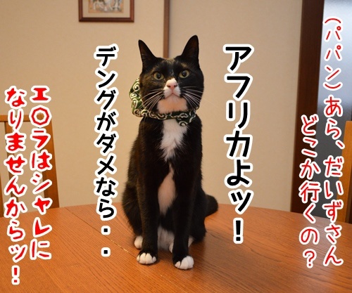 ４日後に　其の二　猫の写真で４コマ漫画　４コマ目ッ