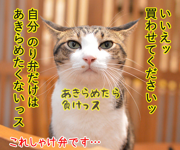 アルバイト初日（だいず篇）　其の二　猫の写真で４コマ漫画　４コマ目ッ