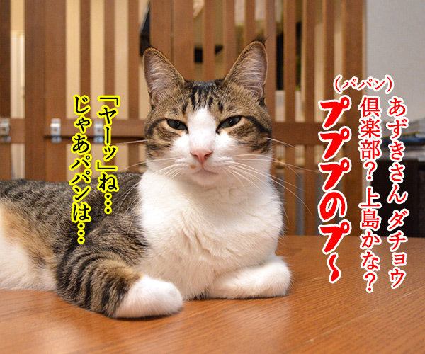 ひまだったので　猫の写真で４コマ漫画　４コマ目ッ