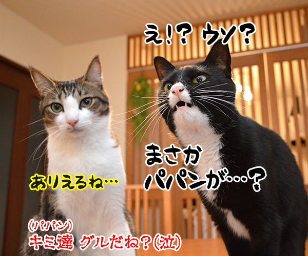 だれがやったのッ？　猫の写真で４コマ漫画　４コマ目ッ