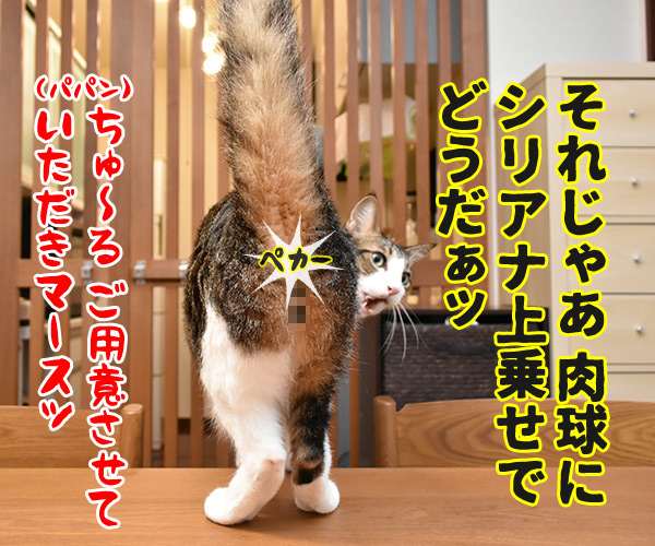 オヤツちょーだいッ　猫の写真で４コマ漫画　４コマ目ッ