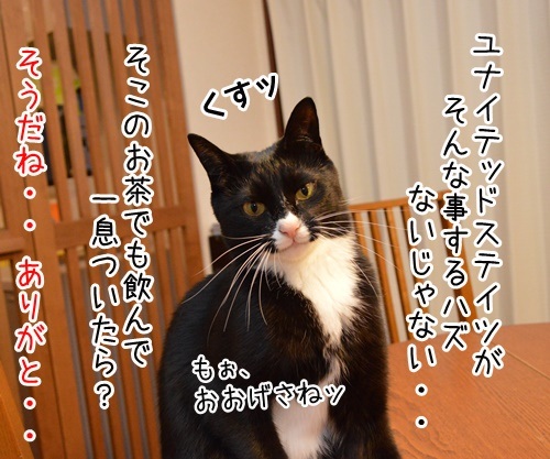 オバマ大統領　来日記念　其の二　猫の写真で４コマ漫画　３コマ目ッ