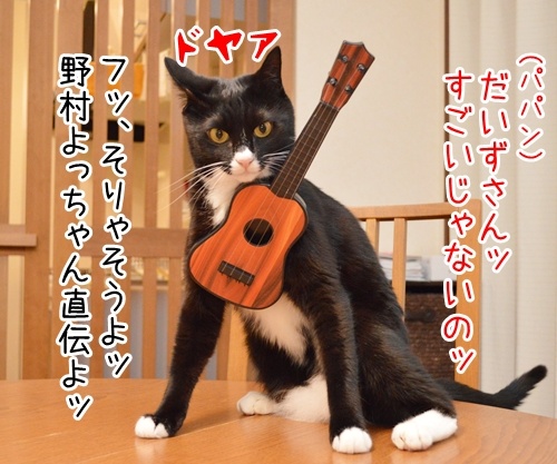 音楽っていいねッ　猫の写真で４コマ漫画　２コマ目ッ