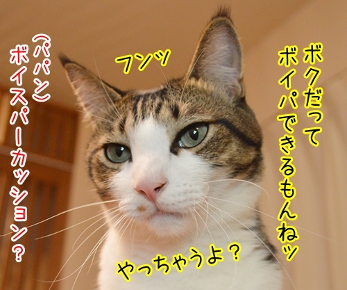 音楽っていいねッ　猫の写真で４コマ漫画　３コマ目ッ