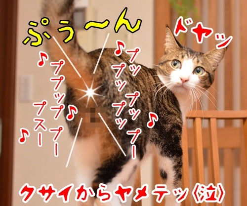 音楽っていいねッ　猫の写真で４コマ漫画　４コマ目ッ