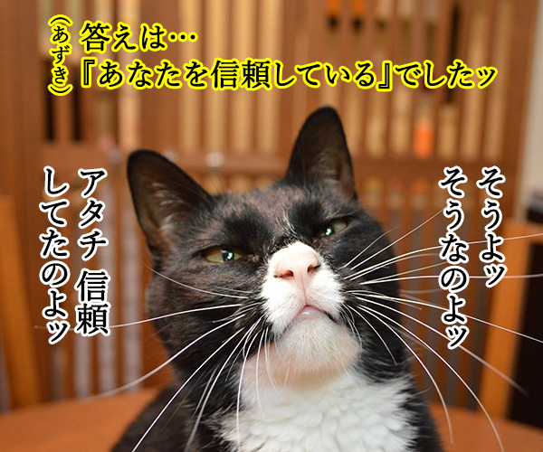 教えてッ　あずき先生ッ　猫の写真で４コマ漫画　３コマ目ッ