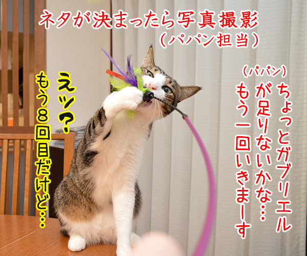 ４コマのつくりかた　猫の写真で４コマ漫画　２コマ目ッ