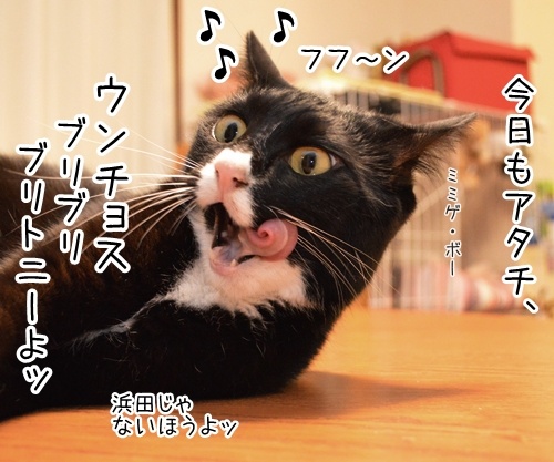 ブリブリブリトニー　猫の写真で４コマ漫画　１コマ目ッ