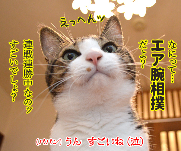 ボク すごいでしょ？　猫の写真で４コマ漫画　４コマ目ッ