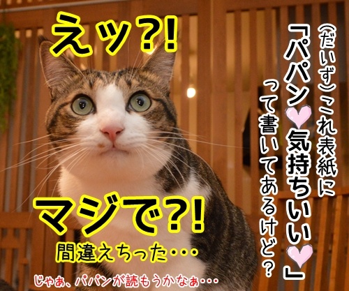 「パパンのきもち」が届いたよ　猫の写真で４コマ漫画　４コマ目ッ