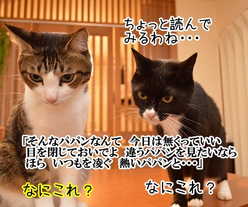 「パパンのきもち」が届いたよ　猫の写真で４コマ漫画　３コマ目ッ