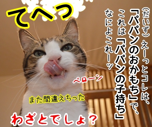 「パパンのきもち」が届いたよ　其の二　猫の写真で４コマ漫画　４コマ目ッ