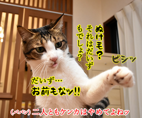 お前もなッ って言われても…　猫の写真で４コマ漫画　２コマ目ッ